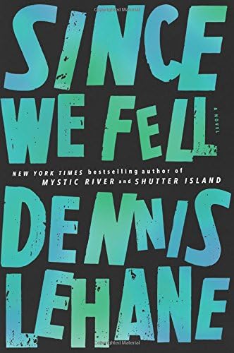 Since We Fell: A Novel Hardcover – May 9, 2017