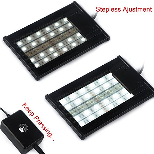 Hoke Day/Night LED Light Hood for Terrarium, White and Blue LEDs
