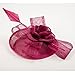 Aniwon Cocktail Pillbox Hat Fascinator Hair Clip Bridal Headwear for Women