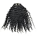 Luwigs 3B 3C Afro Kinky Curly Clip In Hair Extension Natural Color African American Brazilian Human Virgin Hair For Black Women 7pcs/set (20 inches, 3B 3C Afro Kinky Curly)