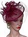 Vijiv Women Vintage Derby Fascinator Hat With Veil Pillbox Headband Feather Cocktail Tea Party