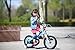 RoyalBaby Boys Girls Kids Bike 18 Inch Matte Button Bicycles with Kickstand Child Bicycle Pink