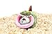 JanYoo Chinchilla Hideout Bed House Toys and Accessories Cage Cave Cute Cube Cup Hide for Bearded Dragon Ferret