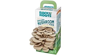 Back to the Roots Organic Mushroom Growing Kit. DIY Indoor Organic Oyster Mushroom Farm. Grow Edible Mushrooms at Home for Gourmet Cooking. Perfect Cooking Gift