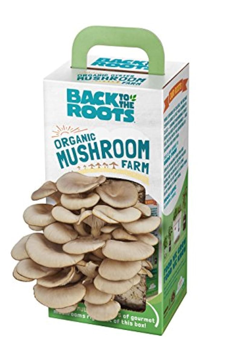 Back to the Roots Organic Mushroom Growing Kit