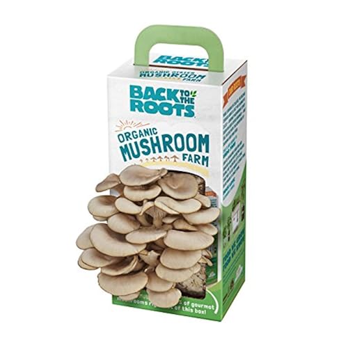 Back to the Roots Organic Mushroom Farm (Packaging May Vary) Back to the Roots Organic Mushroom Farm (Packaging May Vary)