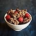 Lark Ellen Farm Grain Free Paleo Granola Bites Delicious Gluten Free Certified Organic (Vanilla Cinnamon) (16 oz)