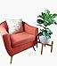 Plant Stand /13