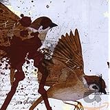 This Is What the Edge of Your