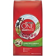 Purina ONE SmartBlend Lamb & Rice Formula Adult Dry Dog Food