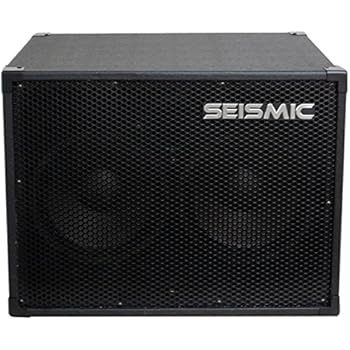 Amazon Com Seismic Audio 210 Bass Guitar Speaker Cabinet With