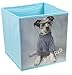 Clever Creations 4 Pack Cute Dogs Collapsible Storage Organizer Cube Folding Storage Organizer for Animal Themed Rooms | Perfect Size Storage Cube for Books, Shoes, Games