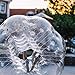 Happybuy 2PCS Inflatable Bumper Ball 4 FT / 1.2M Diameter, Bubble Soccer Ball, Blow Up Toy in 5 Min Inflatable Bumper Bubble Balls for Adults or Children (Transparent, 4FT / 1.2M)