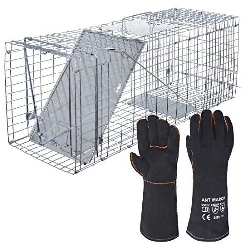 ANT MARCH Live Animal Cage Trap 32''x11.5"x13" Steel Humane Release