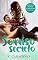 Livro Sorriso Secreto (Amor nas Alturas Livro 2)