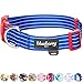 Blueberry Pet Essentials 5 Patterns Royal Bon Voyage Nautical Sleek Wisdom Stripes Adjustable Dog Collar, Large, Neck 18
