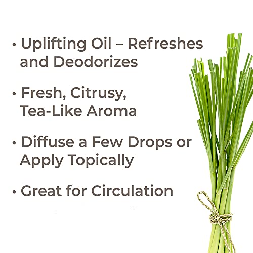 Plant Therapy Lemongrass Essential Oil 100 Pure, Undiluted, Natural