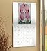 Georgia O'Keeffe Wall Calendar (2017)