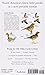 The Sibley Field Guide to Birds of Western North America