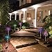 ArtDIY Outdoor Solar Garden Stake Lights - 3 Pack Solar Lights with Butterfly,Hummingbird,Dragonfly, Multi-color Changing LED Outdoor Decorative Solar Stake Lights for Garden, Patio, Backyard