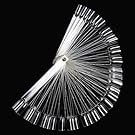 Fan Style Nail Art Tips 50 Stick Display Practice Tool