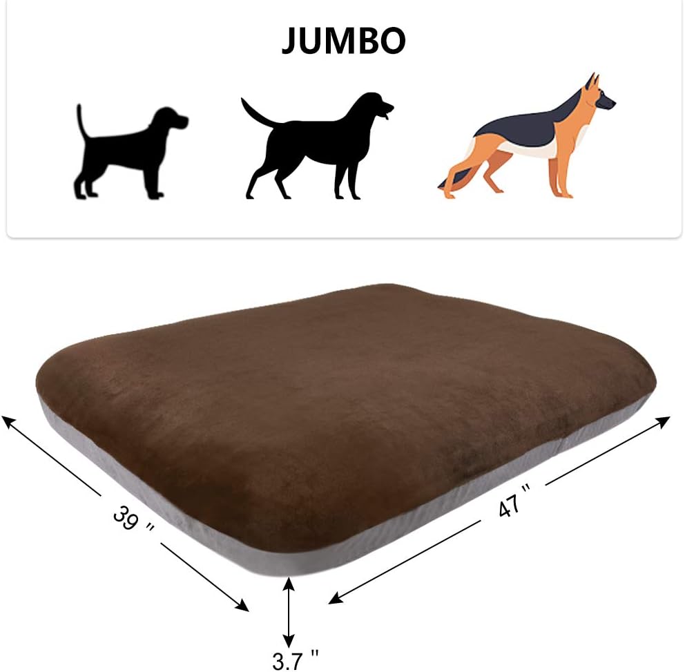 entryway dog bed