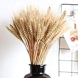 Wedding Decorations Dried Wheat Sheaves,100pcs Natural Wheat Bouquet Bunch Stalk Bundle,Bride and Groom Holding Flowers,DIY Home Kitchen Table Wedding Centerpieces (a)