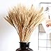 Wedding Decorations Dried Wheat Sheaves,100pcs Natural Wheat Bouquet Bunch Stalk Bundle,Bride and Groom Holding Flowers,DIY Home Kitchen Table Wedding Centerpieces (a)