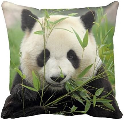 Reasonwe Custom Panda photographs Throw Square Pillow Case 18x18 Inches for put in Car Seat, Patio, Bedroom, Couch, Sofa
