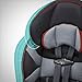 Evenflo Maestro Booster Car Seat, Wesley