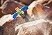 Minecraft Alex with Elytra Wings Figure Pack