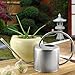 Darware Stainless Steel Watering Can — 1.3 Quart / 44oz / 1300 ml Capacity Brushed SS Watering Pot, Long Spout & Elegant Curved Handle