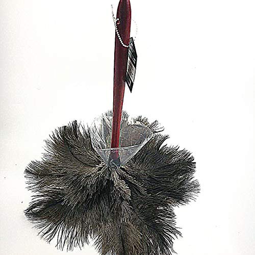 AAYU Brand Premium Professional Feather Duster | Natural Duster for Cleaning and Feather Moping | Genuine Ostrich Feather Duster with Wooden Handle | Eco-Friendly | Easy to Clean Dust (45 cm)
