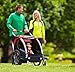 Burley Design One-Wheel Stroller Kit