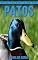 Livro Patos: Fotos Incríveis e Factos Divertidos sobre Patos para Crianças (Série Lembra-Te De Mim)