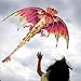 ZS-Juyi 2019 Pterosaur Kite Dinosaur Kite Line Breeze Kids Outdoor Fun Sports for Adults(Dinosaur2)
