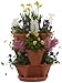 Natures Distributing 3 Tier Stacking Planter-Flower, Herb, Stackable Garden, Vegetable-Self-Watering-Indoor/Outdoor (Terracotta)