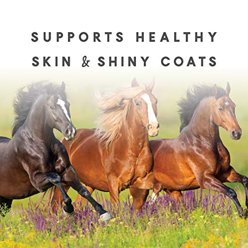 Manna Pro ShoGlo Supplement for Horses Complete Vitamin & Mineral