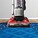 Dirt Devil UD70169 Power Flex Pet Bagless Upright Vacuum