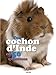 Ton cochon d'Inde en 50 questions by