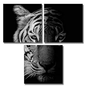 for Living Room Bedroom Home Artwork Animal Paintings x3 Panels