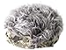 Flair Hair Men's White Visor and Hair