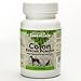 Animal Essentials Colon Rescue Powder - Herbal Digestive Aid for Dogs & Cats, Phytomucil, Healthy Gastrointestinal Tract, Certified Organic Herbs, No Preservatives, Glycerin-Based Formula - 1 Oz
