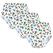 Little Boy Potty Training Pants 3-Pack - Colorful Dinosaur Design - Size 3T