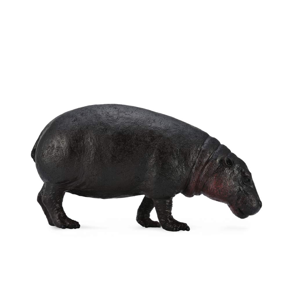 CollectA Pygmy Hippopotamus