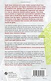 New South Asian Feminisms: Paradoxes and Possib...