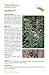 Sonoran Desert Food Plants:: Edible Uses for the Desert's Wild Bounty