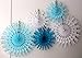 5-Piece Tissue Snowflake Decorations, Winter Mix, White & Blue (15-22 Inch)
