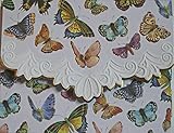 Carol Wilson Fine Arts Butterflies Blank 10 Card Set Portfolio