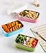 Lille 22oz Stainless Steel Leakproof Lunch Box, Insulated Bento Boxes | Thermal Food Container with Insulated Lunch Bag for Work | 2nd Gen with Durable Handle and Lid | BPA free | Adult, Women, Kid